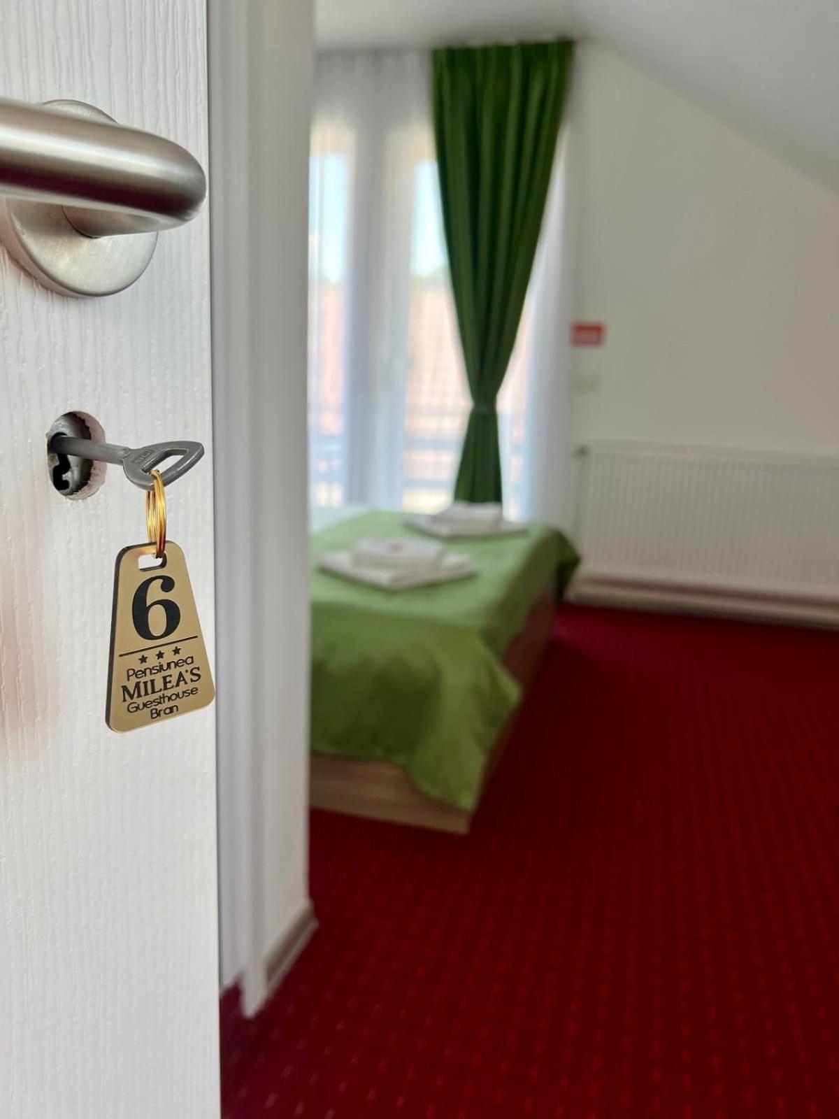 Milea'S Guesthouse ブラン エクステリア 写真